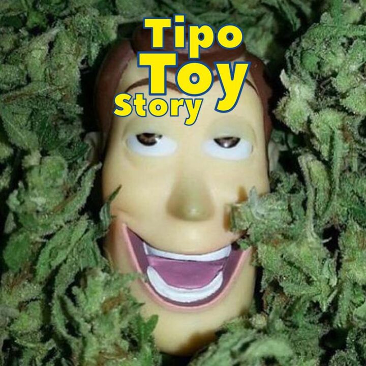 Tipo Toy Story