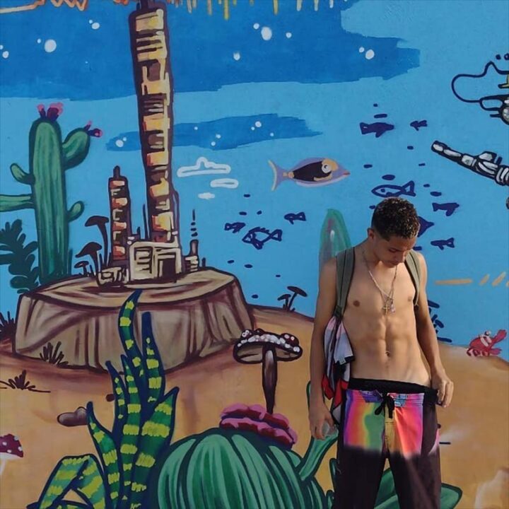 Artista do Sonho