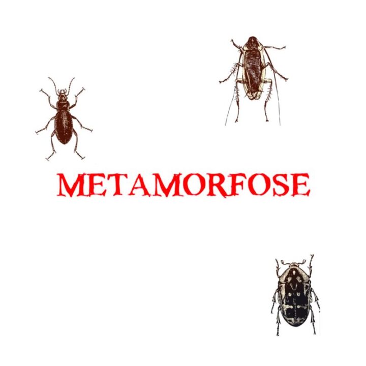 MetaMorfose